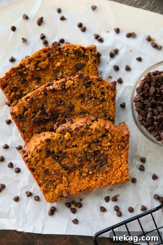 Pumpkin Chocolate Chip Bread Recipe with Video Tutorial 4 This Pumpkin Chocolate Chip Bread recipe makes two loaves and uses one full can of pumpkin. Save one loaf for you and take the other to a friend, or freeze the second loaf to enjoy later on. This bread is simple, classic, and delicious!