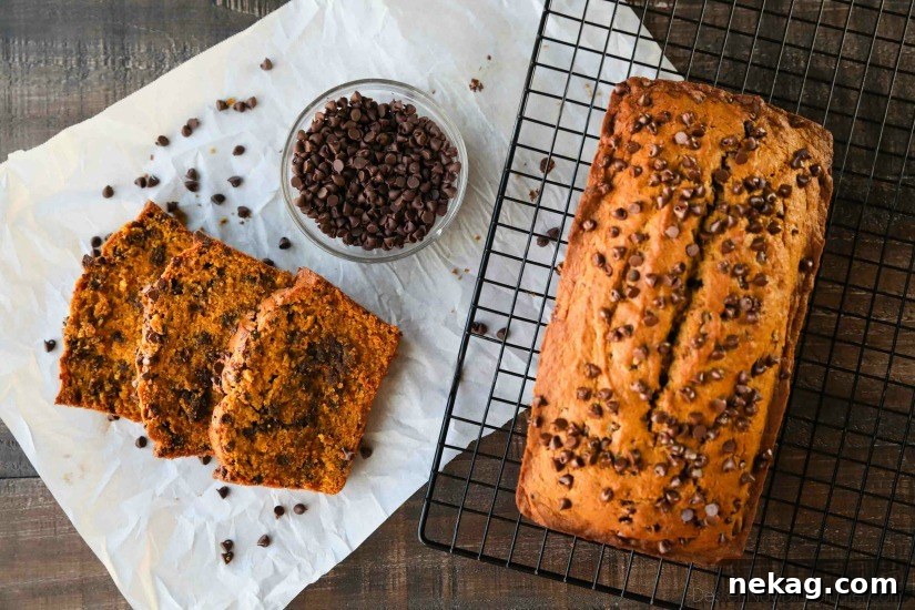 Pumpkin Chocolate Chip Bread Recipe with Video Tutorial 5 This Pumpkin Chocolate Chip Bread recipe makes two loaves and uses one full can of pumpkin. Save one loaf for you and take the other to a friend, or freeze the second loaf to enjoy later on. This bread is simple, classic, and delicious!