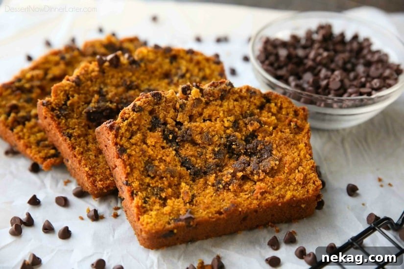 Pumpkin Chocolate Chip Bread Recipe with Video Tutorial 6 This Pumpkin Chocolate Chip Bread recipe makes two loaves and uses one full can of pumpkin. Save one loaf for you and take the other to a friend, or freeze the second loaf to enjoy later on. This bread is simple, classic, and delicious!
