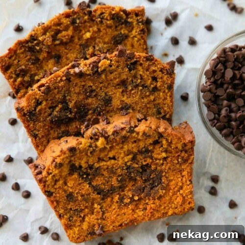 This Pumpkin Chocolate Chip Bread recipe makes two loaves and uses one full can of pumpkin. Save one loaf for you and take the other to a friend, or freeze the second loaf to enjoy later on. This bread is simple, classic, and delicious!