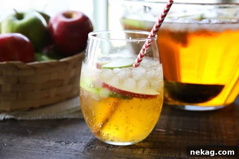 Homemade Sparkling Apple Cider tastes like Martinelli's, and serves a crowd. It's easy to make and cheap! A great non-alcoholic drink for the holidays.