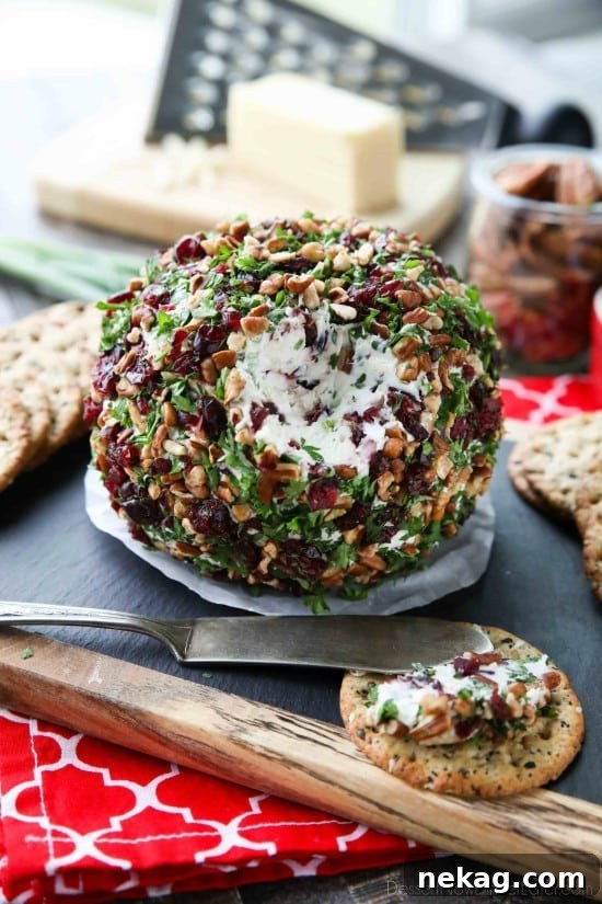 Cranberry Pecan Cheeseball Recipe with Video Tutorial 5 This Cranberry Pecan Cheese Ball is a festive appetizer for Thanksgiving, Christmas, or New Year's Eve! So easy to make, and tastes great!