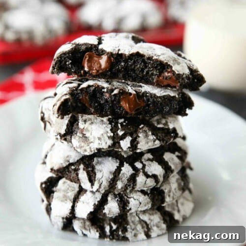 Chocolate Crinkle Cookies are soft and fudgy on their own, but these have chocolate chips added for twice the chocolatey goodness! Enjoy these Double Chocolate Crinkle Cookies for Christmas or any time of year!