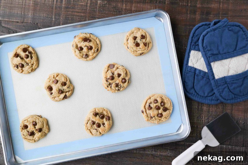 Chewy Peanut Butter Chocolate Chip Cookies Recipe 5 These totally irresistible Peanut Butter Chocolate Chip Cookies are chewy yet tender, and super easy to make!
