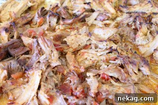 Slow-Cooker Pork Carnitas Recipe for Tender Shredded Pork 3 img 215 2