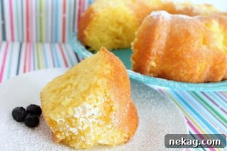 Classic Vanilla Bundt Cake Recipe — Moist, Simple & Delicious 3 img 222 2