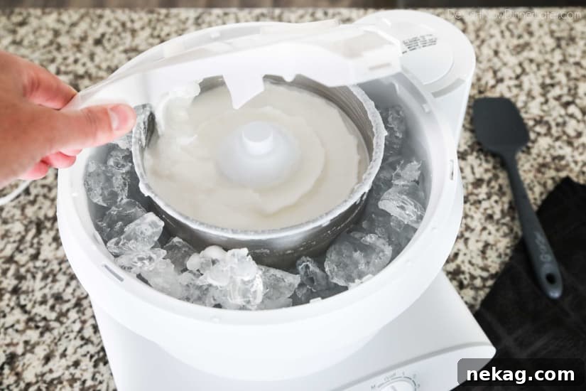Easy vanilla ice cream made with or without cream (just milk). No eggs and no cooking required!