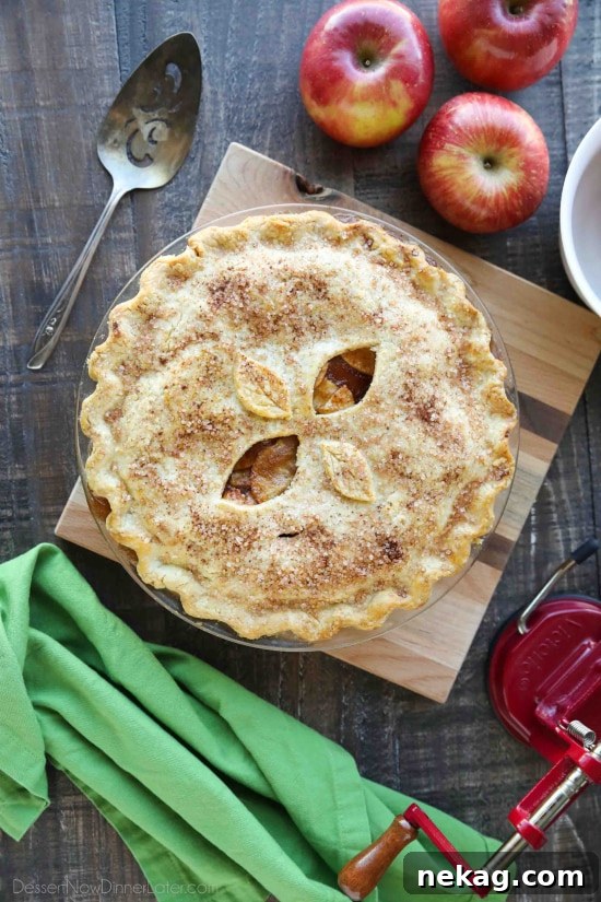 Classic Homemade Apple Pie Recipe: Flaky Crust & Cinnamon Filling 3 This homemade apple pie recipe has a flaky pie crust with cinnamon-sugar sprinkled on top and an extra fruity apple pie filling with just the right amount of sauce.