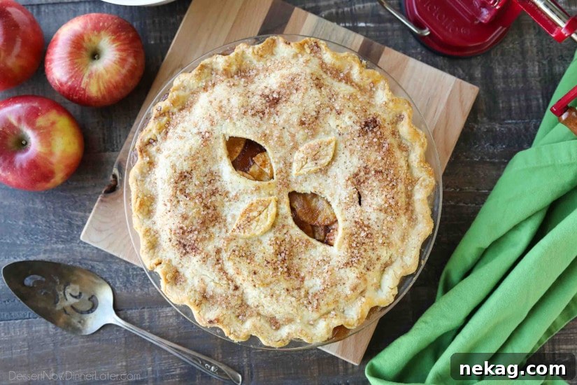 Classic Homemade Apple Pie Recipe: Flaky Crust & Cinnamon Filling 5 This homemade apple pie recipe has a flaky pie crust with cinnamon-sugar sprinkled on top and an extra fruity apple pie filling with just the right amount of sauce.