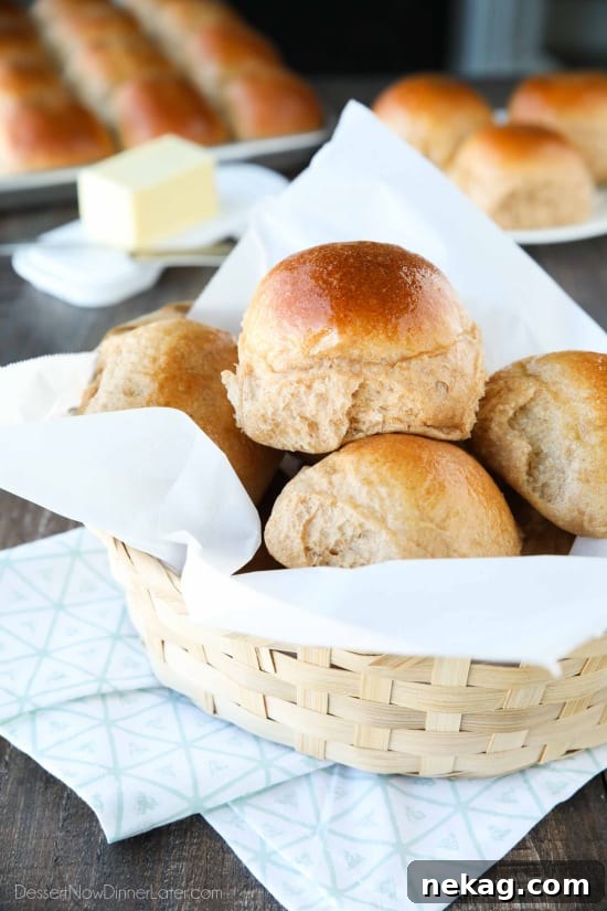 Soft Whole Wheat Dinner Rolls Recipe for Fluffy Homemade Bread 3 These 100% Whole Wheat Dinner Rolls are so soft, light, fluffy and moist, with a hint of honey. Make them for holidays (Thanksgiving, Christmas, Easter, etc.) or any day!
