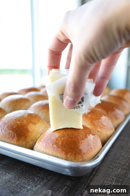 Soft Whole Wheat Dinner Rolls Recipe for Fluffy Homemade Bread 4 These 100% Whole Wheat Dinner Rolls are so soft, light, fluffy and moist, with a hint of honey. Make them for holidays (Thanksgiving, Christmas, Easter, etc.) or any day!
