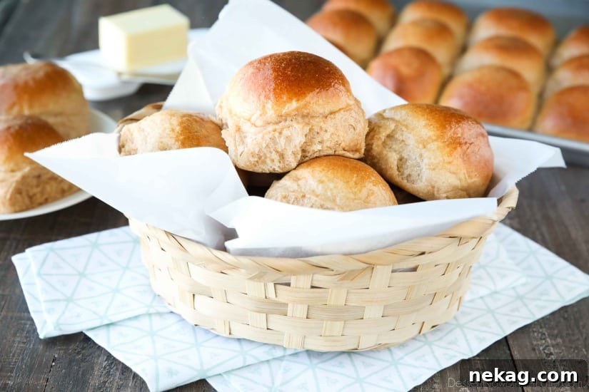 Soft Whole Wheat Dinner Rolls Recipe for Fluffy Homemade Bread 6 These 100% Whole Wheat Dinner Rolls are so soft, light, fluffy and moist, with a hint of honey. Make them for holidays (Thanksgiving, Christmas, Easter, etc.) or any day!