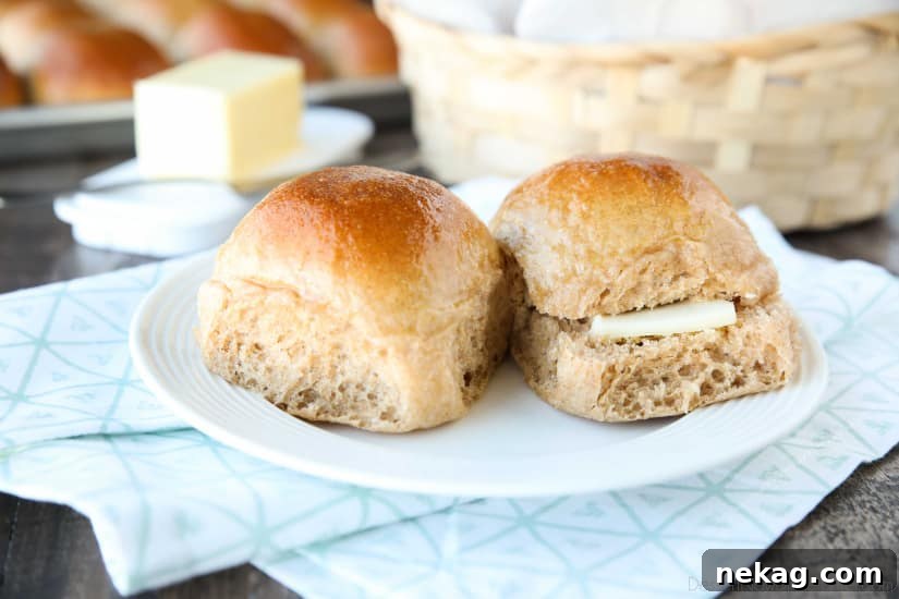Soft Whole Wheat Dinner Rolls Recipe for Fluffy Homemade Bread 8 These 100% Whole Wheat Dinner Rolls are so soft, light, fluffy and moist, with a hint of honey. Make them for holidays (Thanksgiving, Christmas, Easter, etc.) or any day!