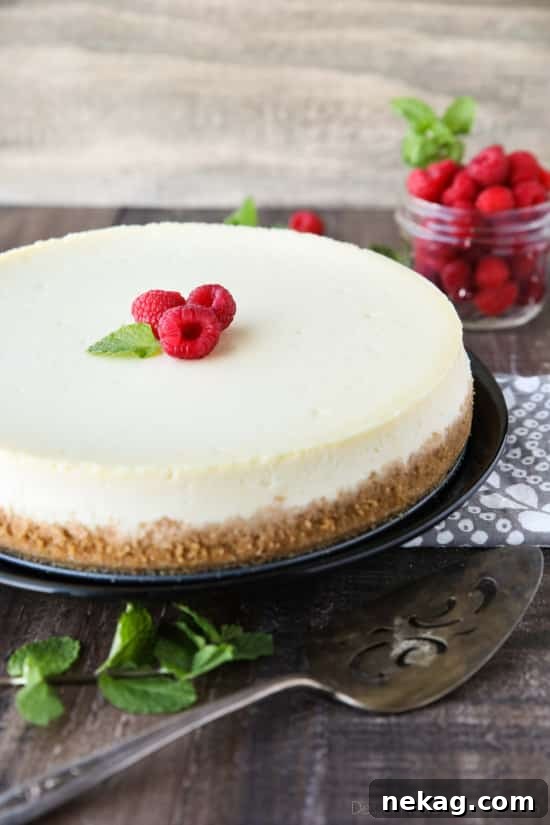 Classic New York Cheesecake Recipe with Creamy Silky Filling 3 Classic Cheesecake close-up