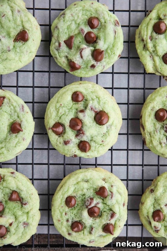 Mint Chocolate Chip Cookies are soft, chewy, and chocolatey, with just the right amount of mint! Makes a great Christmas cookie and is perfectly green for St. Patrick's Day!