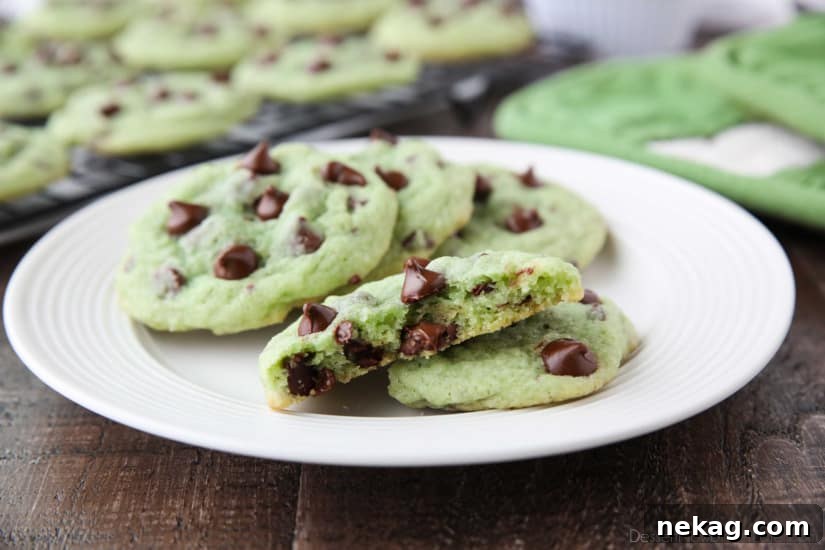 Mint Chocolate Chip Cookies are soft, chewy, and chocolatey, with just the right amount of mint! Makes a great Christmas cookie and is perfectly green for St. Patrick's Day!