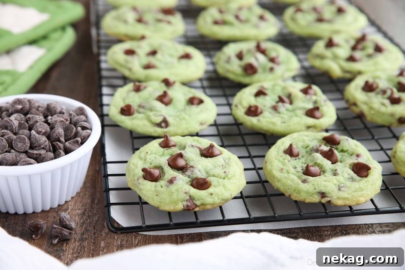 Mint Chocolate Chip Cookies are soft, chewy, and chocolatey, with just the right amount of mint! Makes a great Christmas cookie and is perfectly green for St. Patrick's Day!