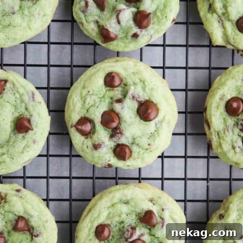 Mint Chocolate Chip Cookies are soft, chewy, and chocolatey, with just the right amount of mint!