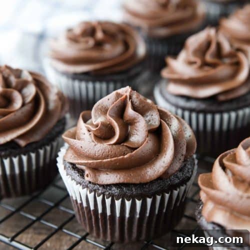 Chocolate Cupcakes Recipe with Step-by-Step Video Tutorial 7 This basic homemade Chocolate Cupcakes Recipe creates the best rich, moist, tender cupcakes and is easy to make. A classic done right!
