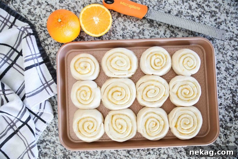 Homemade Orange Rolls with Tangy Glaze 6 Orange Rolls - Roll into a log, slice, cover and let rise.