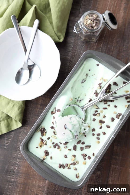 No ice cream maker required for this no churn Mint Chocolate Chip Ice Cream. It's creamy, with just the right amount of mint. Use Andes mint chips for extra mint flavor, or keep it classic with mini chocolate chips.