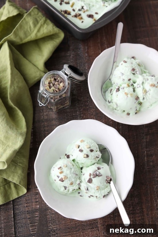 No ice cream maker required for this no churn Mint Chocolate Chip Ice Cream. It's creamy, with just the right amount of mint. Use Andes mint chips for extra mint flavor, or keep it classic with mini chocolate chips.