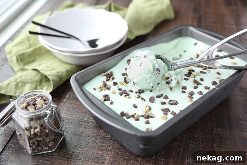 No ice cream maker required for this no churn Mint Chocolate Chip Ice Cream. It's creamy, with just the right amount of mint. Use Andes mint chips for extra mint flavor, or keep it classic with mini chocolate chips.