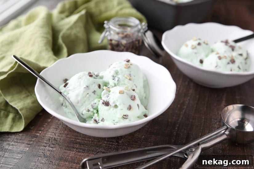 No ice cream maker required for this no churn Mint Chocolate Chip Ice Cream. It's creamy, with just the right amount of mint. Use Andes mint chips for extra mint flavor, or keep it classic with mini chocolate chips.