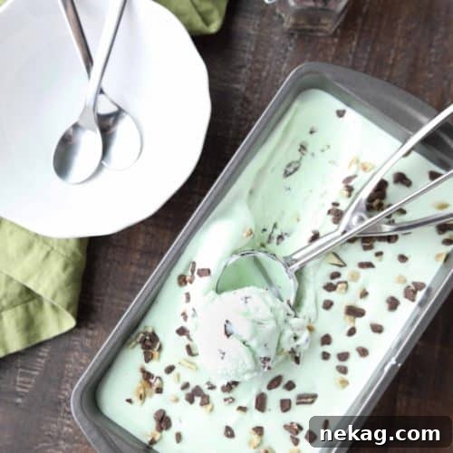 No ice cream maker required for this no churn Mint Chocolate Chip Ice Cream. It's creamy, with just the right amount of mint. Use Andes mint chips for extra mint flavor, or keep it classic with mini chocolate chips.