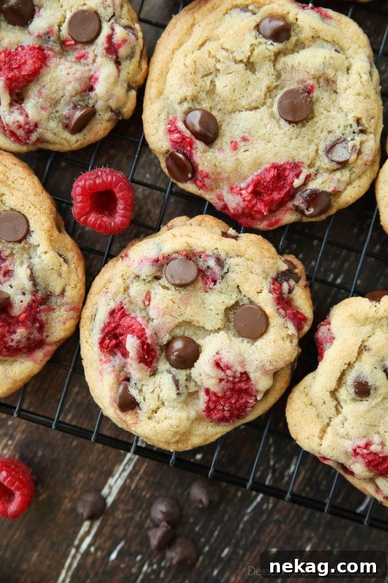 Raspberry Chocolate Chip Cookies Recipe with Video Tutorial 5 Raspberry Chocolate Chip Cookies takes your favorite chewy chocolate chip cookies to the next level with the addition of sweet and tangy fresh raspberries.