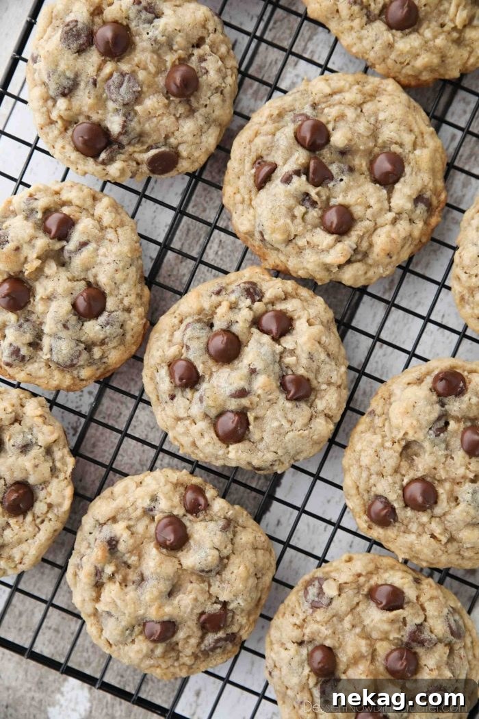 Chewy Oatmeal Chocolate Chip Cookies (Step-by-Step Video) 2 These Oatmeal Chocolate Chip Cookies are thick, soft, and chewy, with plenty of hearty old fashioned oats and creamy chocolate chips. An easy classic recipe.