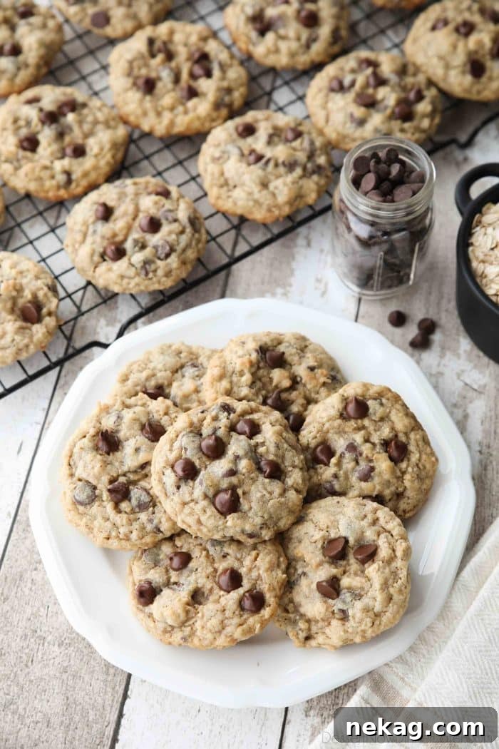 Chewy Oatmeal Chocolate Chip Cookies (Step-by-Step Video) 3 These Oatmeal Chocolate Chip Cookies are thick, soft, and chewy, with plenty of hearty old fashioned oats and creamy chocolate chips. An easy classic recipe.