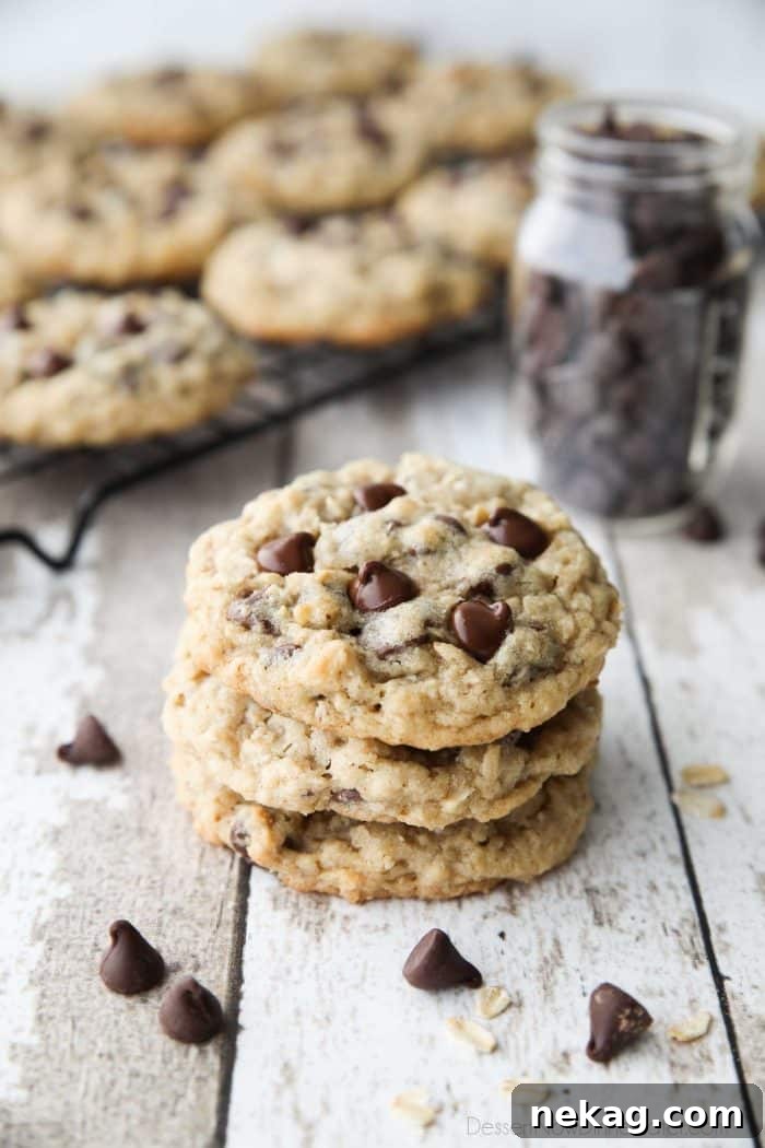 Chewy Oatmeal Chocolate Chip Cookies (Step-by-Step Video) 4 These Oatmeal Chocolate Chip Cookies are thick, soft, and chewy, with plenty of hearty old fashioned oats and creamy chocolate chips. An easy classic recipe.