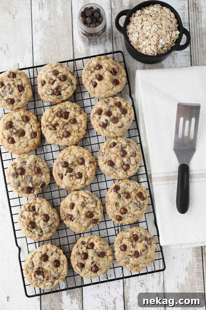 Chewy Oatmeal Chocolate Chip Cookies (Step-by-Step Video) 5 These Oatmeal Chocolate Chip Cookies are thick, soft, and chewy, with plenty of hearty old fashioned oats and creamy chocolate chips. An easy classic recipe.