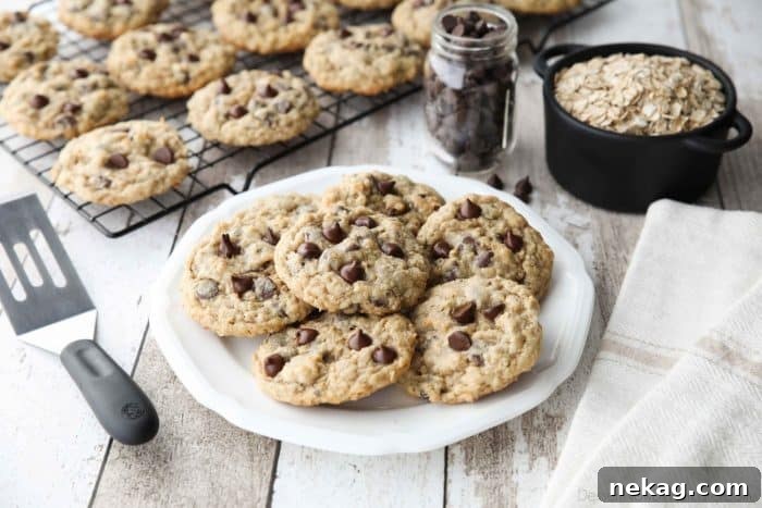 Chewy Oatmeal Chocolate Chip Cookies (Step-by-Step Video) 6 These Oatmeal Chocolate Chip Cookies are thick, soft, and chewy, with plenty of hearty old fashioned oats and creamy chocolate chips. An easy classic recipe.