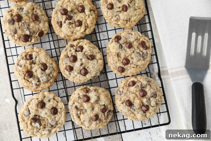 Chewy Oatmeal Chocolate Chip Cookies (Step-by-Step Video) 7 These Oatmeal Chocolate Chip Cookies are thick, soft, and chewy, with plenty of hearty old fashioned oats and creamy chocolate chips. An easy classic recipe.