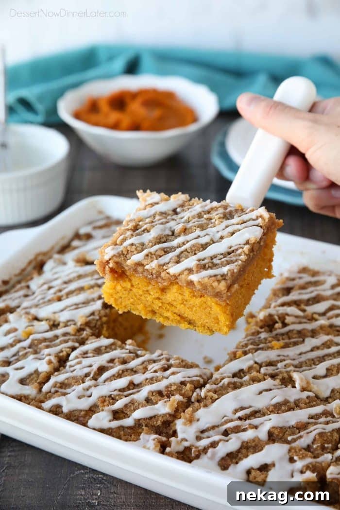 Pumpkin Spice Coffee Cake Recipe: Moist Autumn Coffee Cake 8 Pumpkin Spice Coffee Cake is easy to make and full of real pumpkin. It's moist, yet light and fluffy, with a cinnamon crumb topping and pumpkin spice icing drizzle on top.
