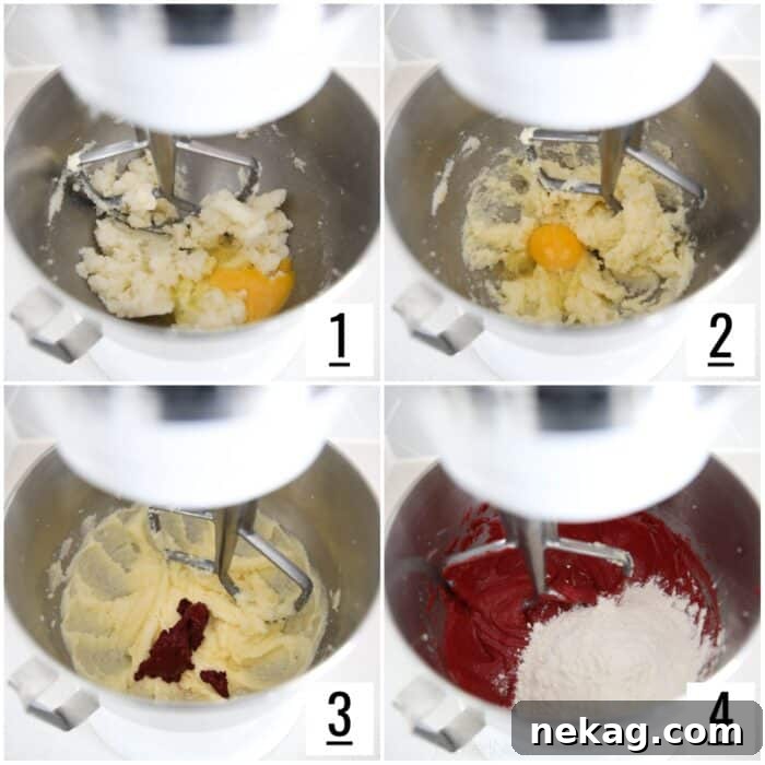 Decadent Red Velvet Brownie Recipe with Cream Cheese Swirl 6 Steps to make red velvet brownie batter in a mixer.