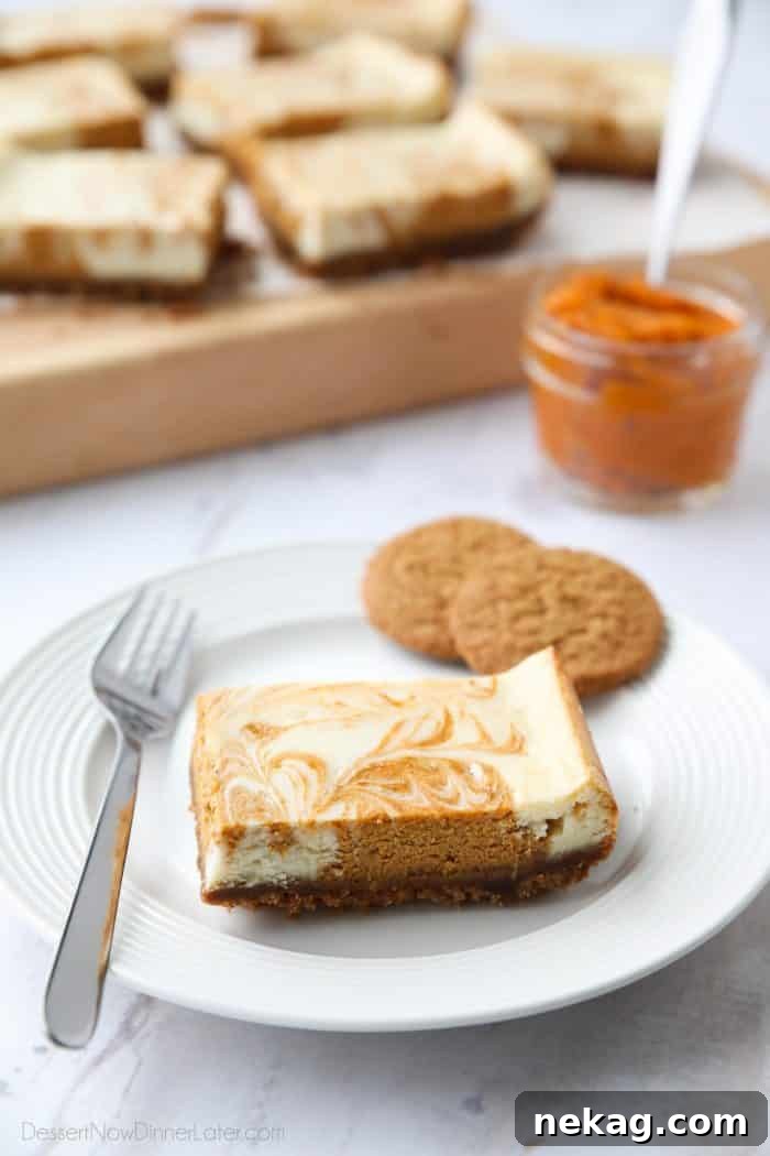 Pumpkin Swirl Cheesecake Bars Recipe — Creamy Fall Dessert 2 Pumpkin Swirl Cheesecake Bars have a buttery gingersnap crust, with ribbons of creamy vanilla and spiced pumpkin cheesecake marbled on top. A delicious dessert for fall or Thanksgiving.