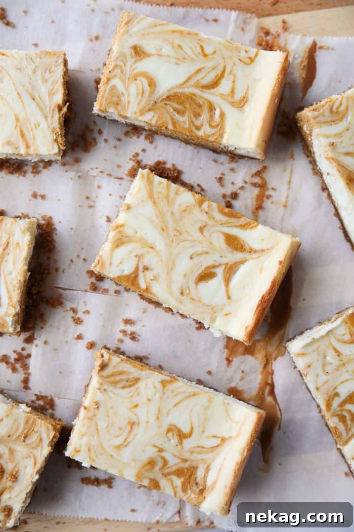 Pumpkin Swirl Cheesecake Bars Recipe — Creamy Fall Dessert 4 Pumpkin Swirl Cheesecake Bars have a buttery gingersnap crust, with ribbons of creamy vanilla and spiced pumpkin cheesecake marbled on top. A delicious dessert for fall or Thanksgiving.