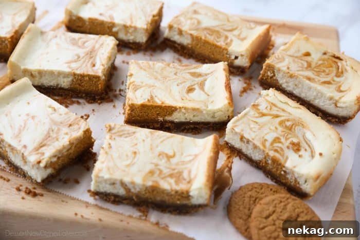 Pumpkin Swirl Cheesecake Bars Recipe — Creamy Fall Dessert 5 Pumpkin Swirl Cheesecake Bars have a buttery gingersnap crust, with ribbons of creamy vanilla and spiced pumpkin cheesecake marbled on top. A delicious dessert for fall or Thanksgiving.