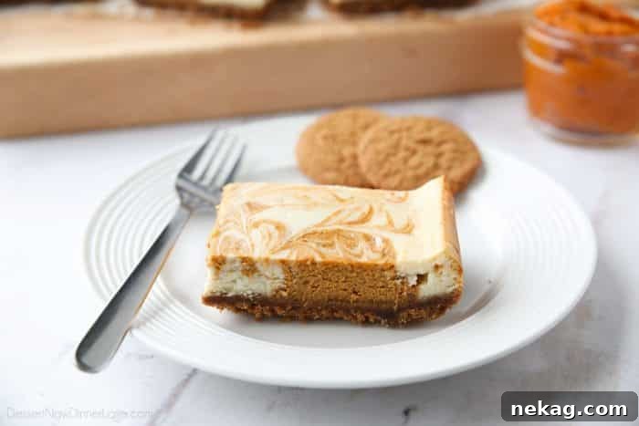 Pumpkin Swirl Cheesecake Bars Recipe — Creamy Fall Dessert 6 Pumpkin Swirl Cheesecake Bars have a buttery gingersnap crust, with ribbons of creamy vanilla and spiced pumpkin cheesecake marbled on top. A delicious dessert for fall or Thanksgiving.