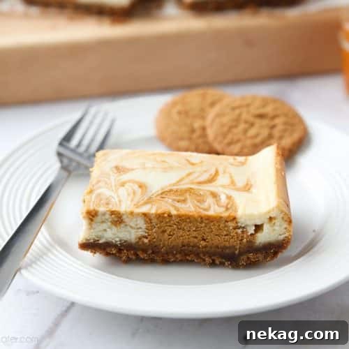 Pumpkin Swirl Cheesecake Bars Recipe — Creamy Fall Dessert 7 Pumpkin Swirl Cheesecake Bars have a buttery gingersnap crust, with ribbons of creamy vanilla and spiced pumpkin cheesecake marbled on top. A delicious dessert for fall or Thanksgiving.