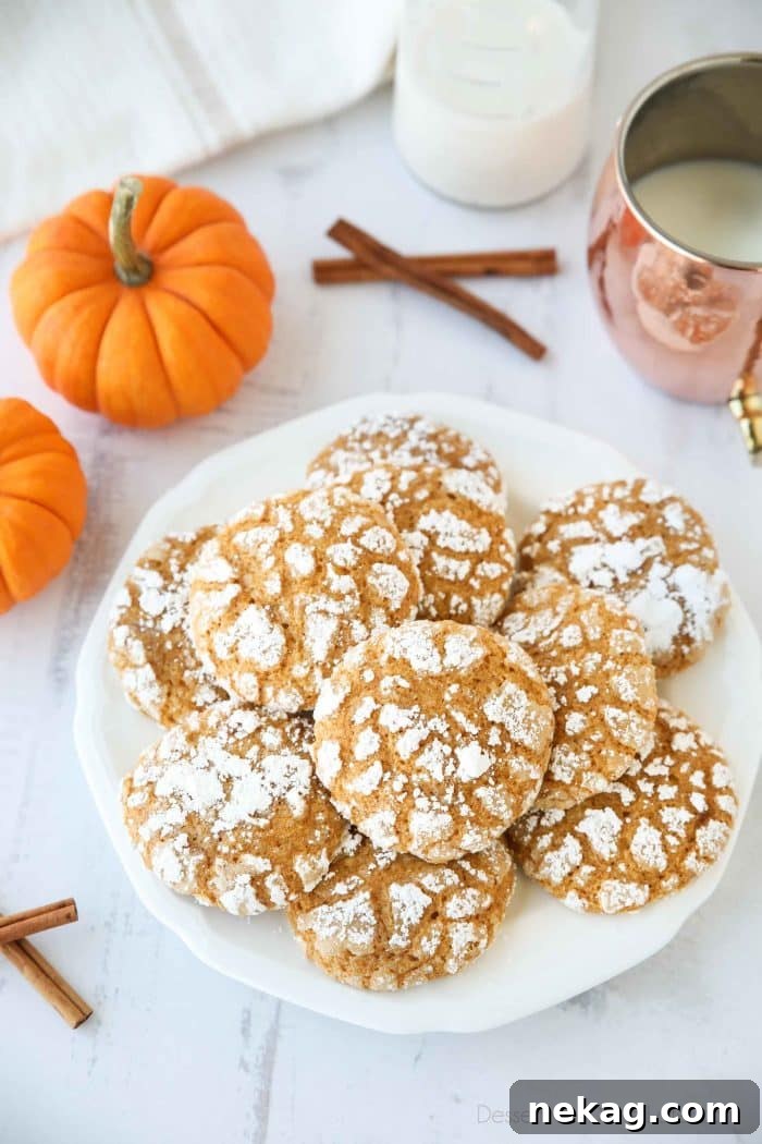 Pumpkin Crinkle Cookies Recipe with Step-by-Step Video 2 Pumpkin Crinkle Cookies are light, soft, and cake-like with warm, flavorful pumpkin spices. You'll love this easy fall cookie coated in powdered sugar that cracks as it bakes.