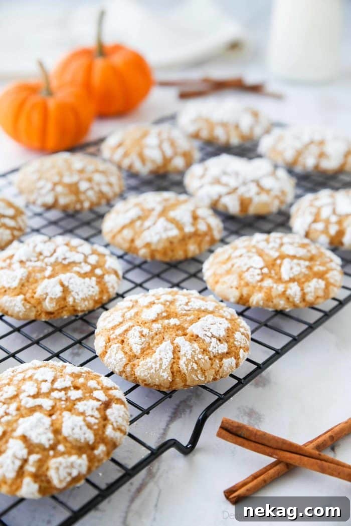 Pumpkin Crinkle Cookies Recipe with Step-by-Step Video 3 Pumpkin Crinkle Cookies are light, soft, and cake-like with warm, flavorful pumpkin spices. You'll love this easy fall cookie coated in powdered sugar that cracks as it bakes.