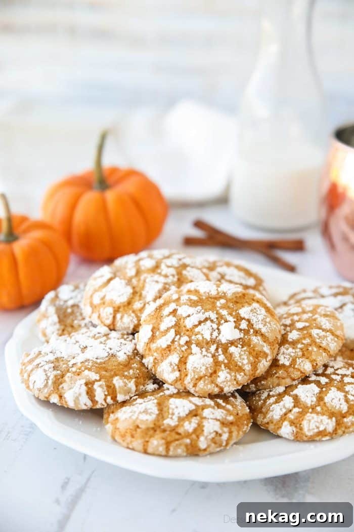 Pumpkin Crinkle Cookies Recipe with Step-by-Step Video 4 Pumpkin Crinkle Cookies are light, soft, and cake-like with warm, flavorful pumpkin spices. You'll love this easy fall cookie coated in powdered sugar that cracks as it bakes.