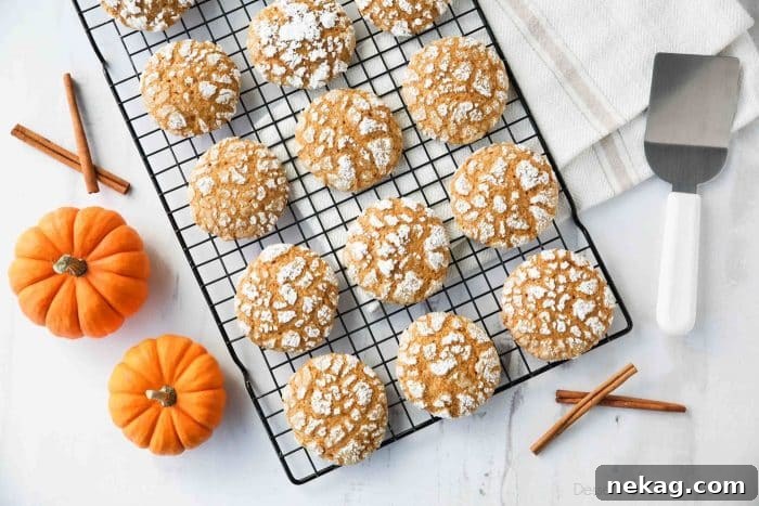 Pumpkin Crinkle Cookies Recipe with Step-by-Step Video 5 Pumpkin Crinkle Cookies are light, soft, and cake-like with warm, flavorful pumpkin spices. You'll love this easy fall cookie coated in powdered sugar that cracks as it bakes.