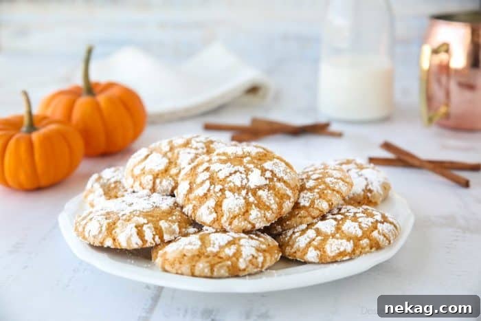 Pumpkin Crinkle Cookies Recipe with Step-by-Step Video 6 Pumpkin Crinkle Cookies are light, soft, and cake-like with warm, flavorful pumpkin spices. You'll love this easy fall cookie coated in powdered sugar that cracks as it bakes.