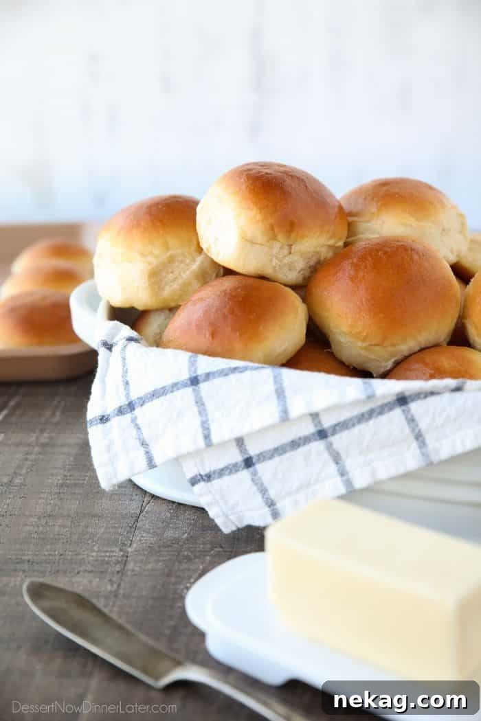 Soft and Fluffy Homemade Dinner Rolls Recipe 2 This classic homemade dinner rolls recipe is soft, fluffy, light, and buttery. The perfect bread for any meal or holiday feast.
