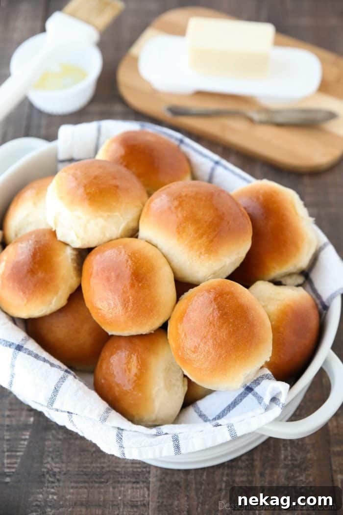 Soft and Fluffy Homemade Dinner Rolls Recipe 5 Classic homemade dinner rolls recipe. So soft, fluffy, light, buttery, and impossible to resist!